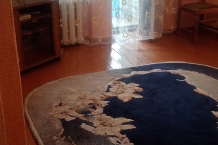 пер. Будённого, 21, 2 этаж